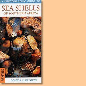 Sea Shells of Southern Africa