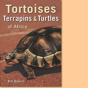 Tortoises, terrapins and turtles of Africa