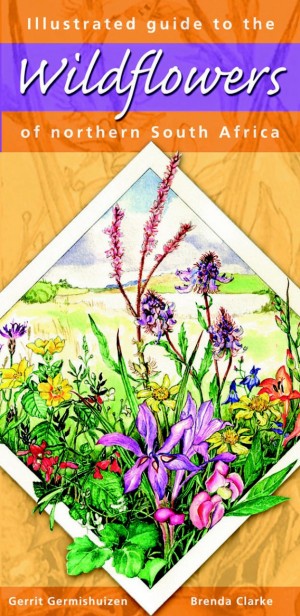 Illustrated Guide to the Wildflowers of Northern South Africa