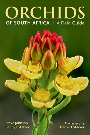 Orchids of South Africa: A field guide