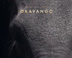 Never lock down Okavango (English)