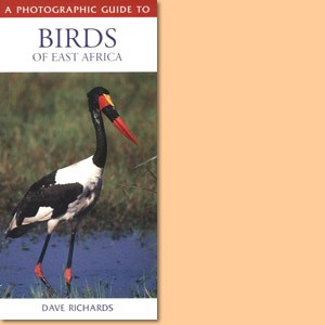 A Photographic Guide to Birds of East Africa