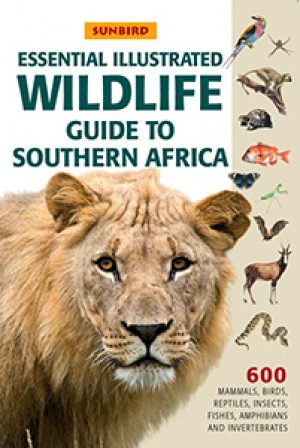 Essential illustrated guide to Southern African Wildlife
