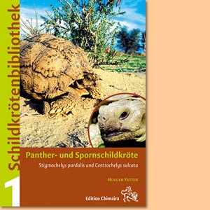 Panther- und Spornschildkröte. Stigmochelys pardalis und Centrochelys sulcata