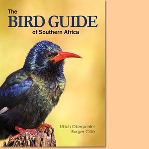 The Bird Guide of Southern Africa