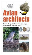 Avian Architects: Quick ID guide to nests and eggs of southern African birds