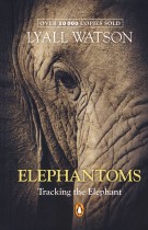 Elephantoms: Tracking the elephant
