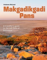 Makgadikgadi Pans: A traveller's guide to the salt flats of Botswana