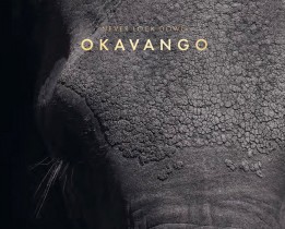 Never lock down Okavango