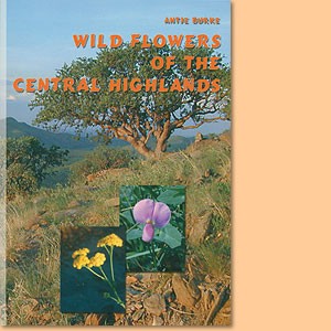 Wild flowers of the Central Highlands