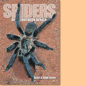 Spiders of Southern Africa