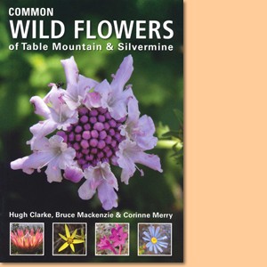 Common Wild Flowers of Table Mountain & Silvermine