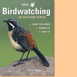 Birdwatching in Southern Africa