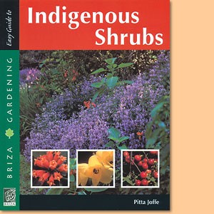 Easy Guide to Indigenous Shrubs