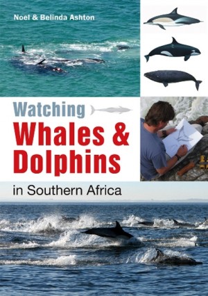 Watching Whales and Dolphins in Southern Africa