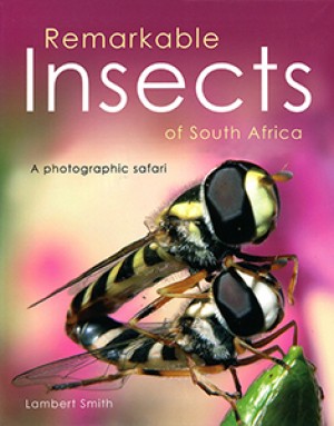 Remarkable insects of South Africa