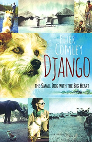 Django. The small dog with the big heart