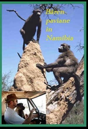 Bärenpaviane in Namibia