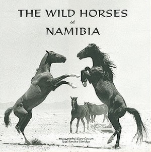 The wild horses of Namibia
