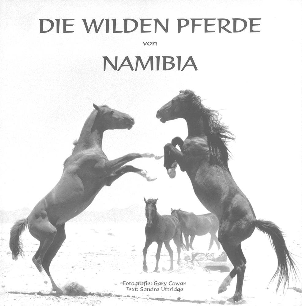 Die wilden Pferde von Namibia