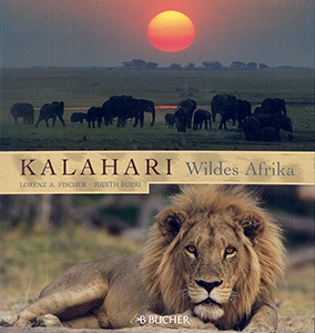 Kalahari. Wildes Afrika