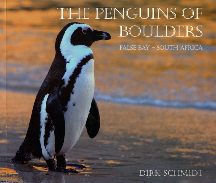 The Penguins of Boulders, False Bay-South Africa