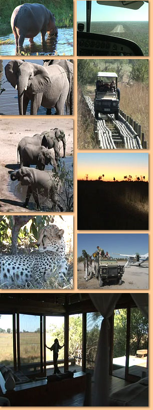 Botswana - Wildlife im Linyanti- und Okavango-Delta (Golden Globe)