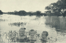 Die Kinderfarm. Die Cramer-Kinder baden im Vley.
