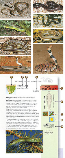 The aim of A Complete Guide to the Snakes of Southern Africa is to assist in identifying southern Africa's diverse range of snakes.
