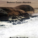 Rocky Point. Skeleton Coast—Namibia, by Peter Bridgeford. Namibia Scientific Society - Kuiseb Publishers. Windhoek, Namibia 2022. ISBN 9789994576807 / ISBN 978-99945-76-80-7