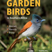 Garden Birds in Southern Africa, by Duncan Butchart. Penguin Random House South Africa, Struik Nature. Cape Town, South Africa 2017. ISBN 9781775844747 / ISBN 978-1-77584-474-7