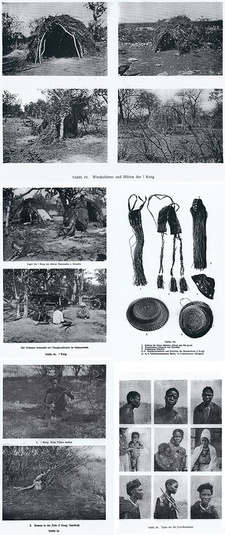Bildauszug aus Viktor Lebzelters Studie 'Eingeborenenkulturen von Südwestafrika: Die Buschmänner. Wissenschaftliche Ergebnisse einer Forschungsreise nach Südwestafrika in den Jahren 1926-1928