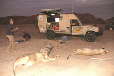 Flip Stander erhält neues Fahrzeug für Löwenforschung in Namibia.