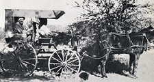 Verkehrswesen in Südwestafrika: Pferdewagen 1921