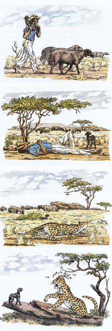 Bildauszug aus dem Namibia-Kinderbuch: SWA Fabeln. Das Perlhuhn und andere Fabeln aus Südwest-Afrika, von Joachim Voigts. (ISBN 0868480096 / ISBN 0-86848-009-6)