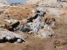 Die versunkenen Schätze der Karavelle 'Bom Jesus' im Südwesten von Namibia.