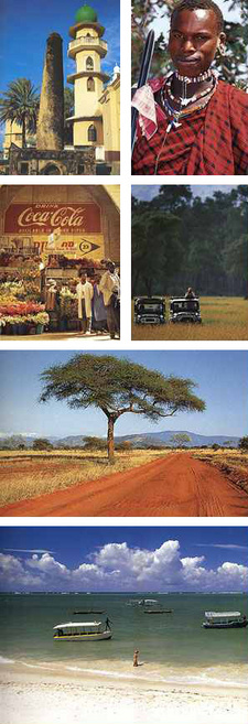 Kenya: The Beautiful, by Michael Brett.