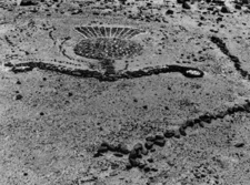 Photo No 7 - Insignia in the Desert of South West Africa SWA, by Bryan V. Cooke.