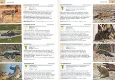 Blick in das Buch: Wilde Natur in Namibia. Struik Nature. Kapstadt, Südafrika 2019. ISBN 9781775846826 / ISBN 978-1-77-584682-6