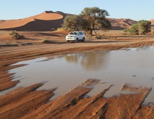 Namibia: Das Tsauchab-Rivier fällt allmählich wieder trocken. Nach starken Regenfällen im Oktober 2018 lief das Rivier nach vielen Jahren wieder für kurze Zeit. Foto: Marc Springer