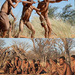 Buschleute in Namibia: Vortrag von Carsten Möhle.