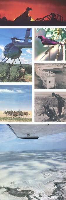 Etosha. Celebrating a hundred years of conservation, by Rieth van Schalkwyk. ISBN 9789991682839 / ISBN 978-99916-828-3-9