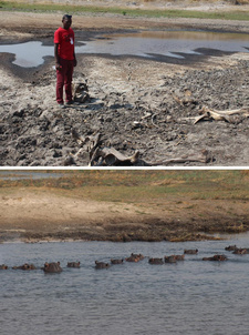 Das Ministerium für Umwelt und Tourismus Namibias betreibt drei Brunnen im Hegegebiet Bamunu Conservancy im Caprivi, die die natürlichen Sümpfe im Notfall vor der Austrockung bewahren sollen. Fotos: Mulisa Simiyasa/Nampa