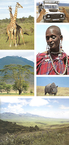 Ngorongoro Conservation Area, by Chris Stuart, Tilde Stuart and Daryl Balfour. ISBN 1868728641 / ISBN 1-86872-864-1