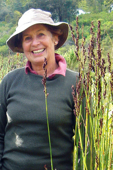 Els Dorrat-Haaksma ist eine niederländische Biologin und Restionaceae-Spezialistin.
