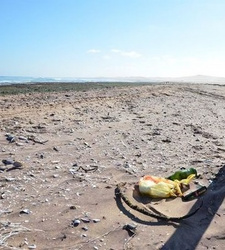 Ab sofort wird in Namibia das längst erlassene Verbot von Plastiktüten in National- und Naturparks auch in der Praxis durchgesetzt.