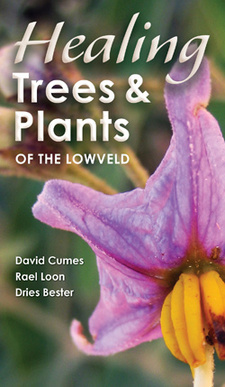 Healing trees and plants of the Lowveld, by David Cumes, Rael Loon and Dries Bester. ISBN 9781770078338 / ISBN 978-1-77007-833-8