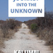 Journey into the Unknown, by Kalumbi Shangula. Kuiseb Publishers. Windhoek, Namibia 2020. ISBN 9789994576678 / ISBN 978-99945-76-67-8