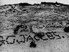 Photo No 2 - Insignia in the Desert of South West Africa SWA, by Bryan V. Cooke.