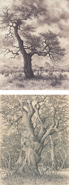 Eberhard von Koenen, 1916 in Namibia geboren, ist immer bestrebt gewesen, das Wesen hinter den Dingen zu. erkennen: Lass Bäume sprechen.